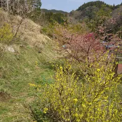 南沢ホタルのせせらぎ公園