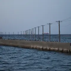 牛込海岸海中電柱