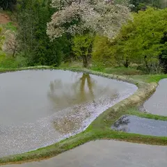 儀明の棚田