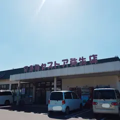 マルミヤストア 弥生店
