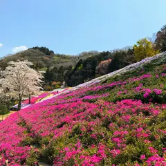 芝桜の小道