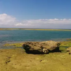 空寿崎（クウジュザキ）