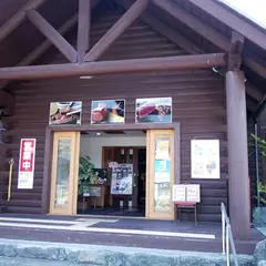 エアーズロック風紋
