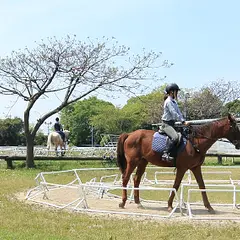 ＨＡＳ浜松乗馬クラブ