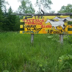 北海道日高アラビアンホースプランテーション