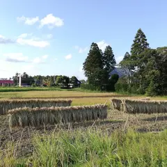 つるかめ農園