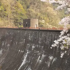 河内桜公園