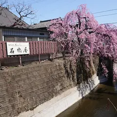 石橋屋の枝垂桜