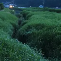 足守ホタルの里