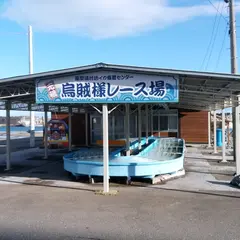 活イカ備畜センター