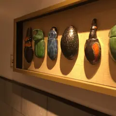 DFS