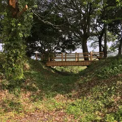 堤土塁跡
