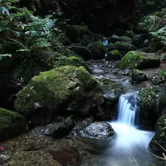 獅子ヶ滝