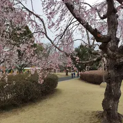 阿漕ヶ浦公園