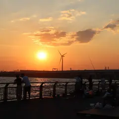 東扇島西公園釣りポイント