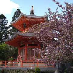 正法寺