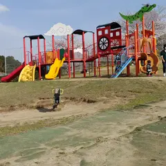 ふれあいの森 総合公園 子どもの遊び場 わんぱく広場（遊具広場）