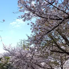 知北平和公園