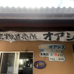 直売所オアシス