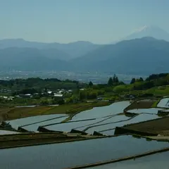 中野の棚田