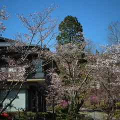 山神温泉 湯乃元館