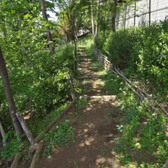 成城三丁目崖の林市民緑地