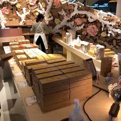 サニーヒルズ