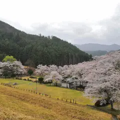 大杉ダム自然公園