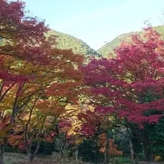 丸山公園