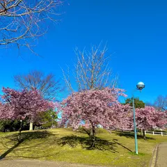 ピクニック広場 (バーベキュー)