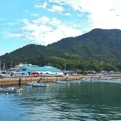 下田水港