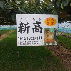 中村観光果樹園