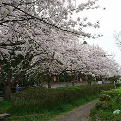 北山池公園