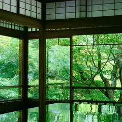 21年 京都のおすすめ癒しスポットランキングtop Holiday ホリデー