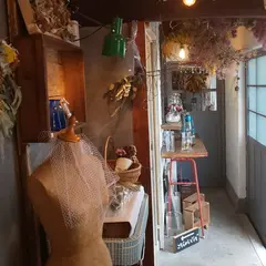 Zakka Hina*