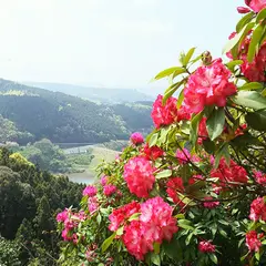 裏見の滝自然花苑