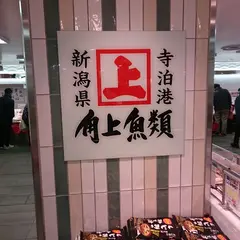 角上魚類 柏店