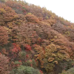 天狗山第四駐車場