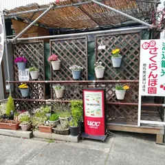 渡邉観光さくらんぼ園 直売所カフェ