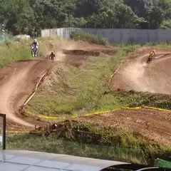 MX408