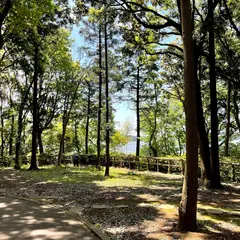 五本松公園