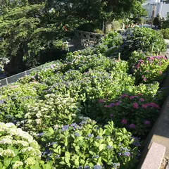 照江寺