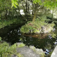 池の川水源