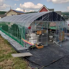 めだか屋むら松