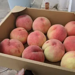 ＪＡふくしま未来 保原営農センター