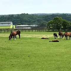 サラブレッド銀座駐車公園