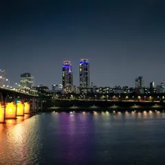 Ttukseom Han River Park