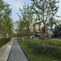 京義線森の道