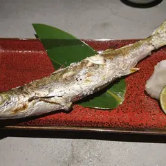 日本酒×チーズケーキ専門店 sake恋japan