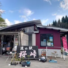 道の駅桜峠